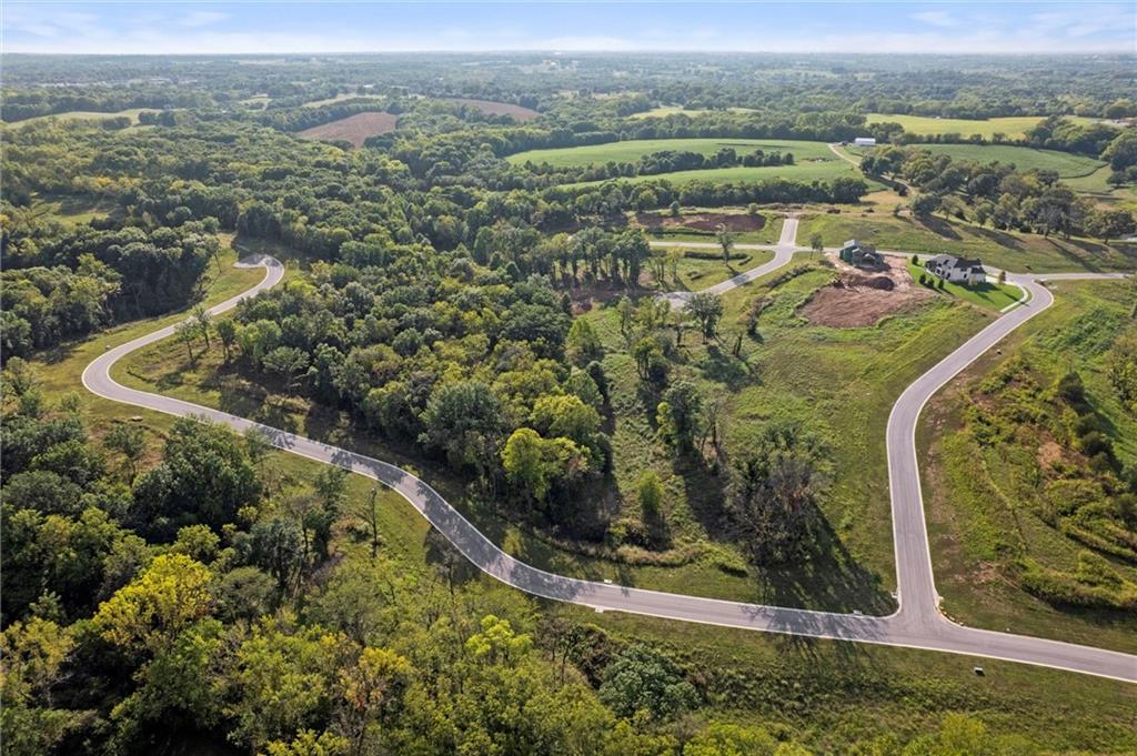 Estates of Connor Creek South aerial view 11