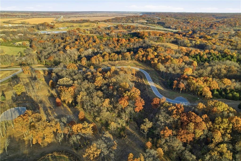 Estates of Connor Creek South aerial view 17